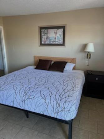 Budget Inn Decatur Priceville Exteriör bild